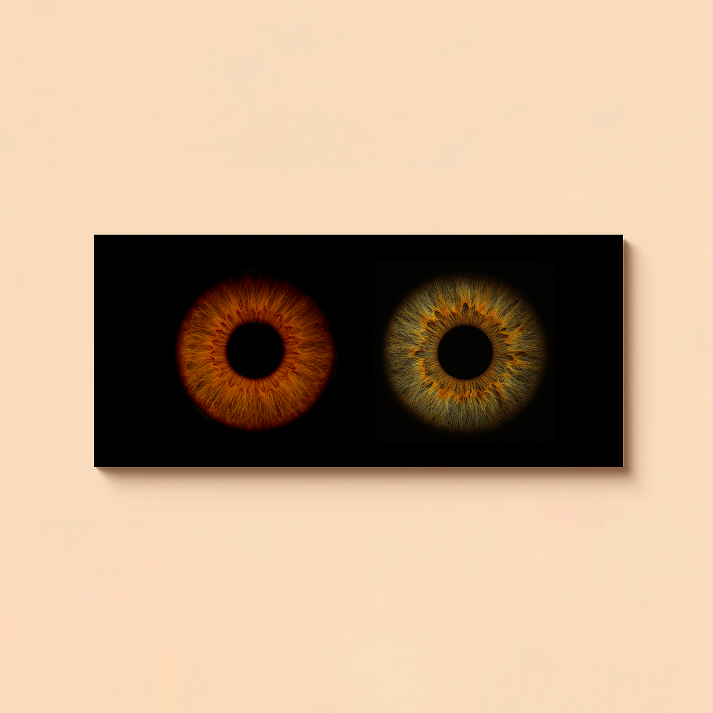 Poster Toile IRIS 120X40