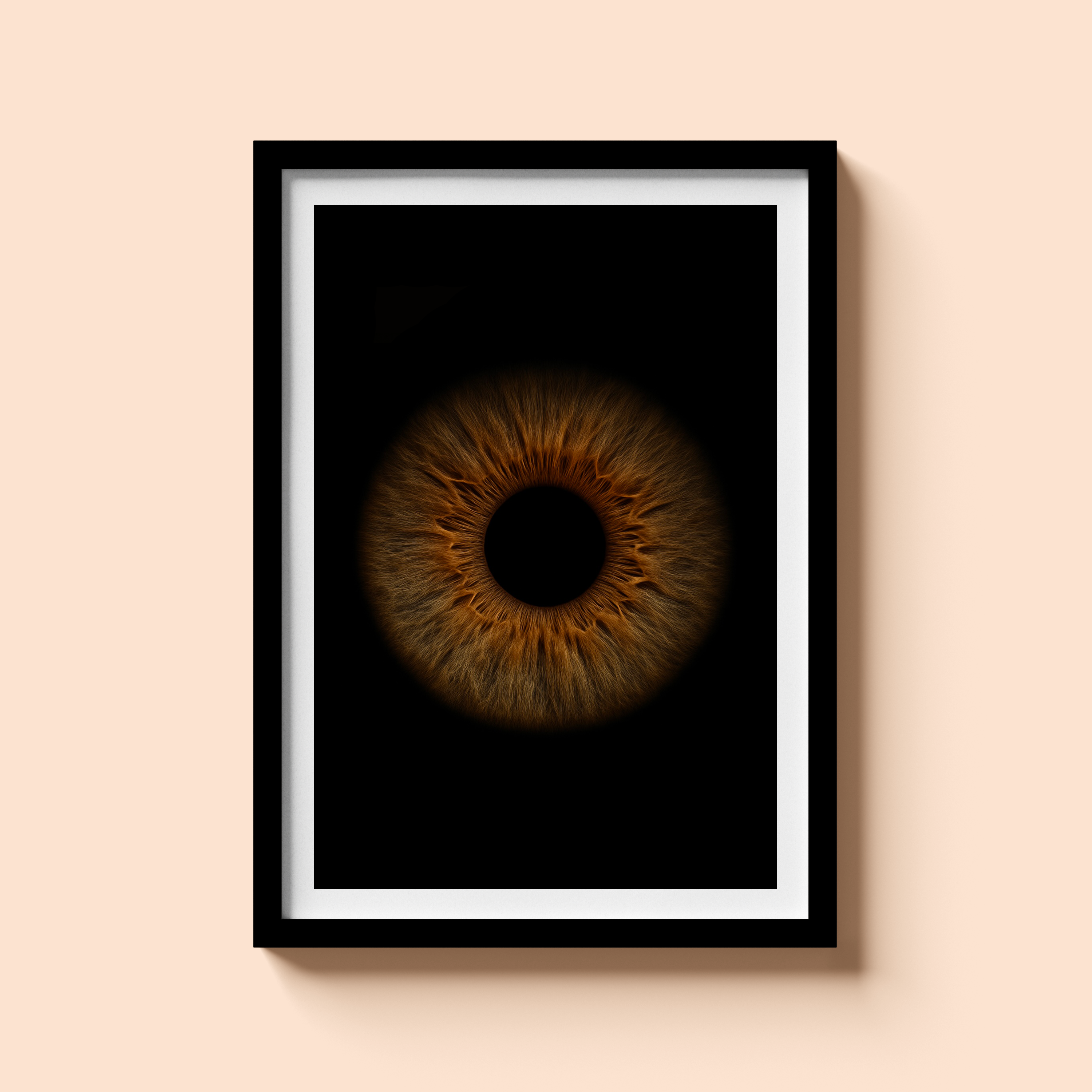 Poster Cadre IRIS A4