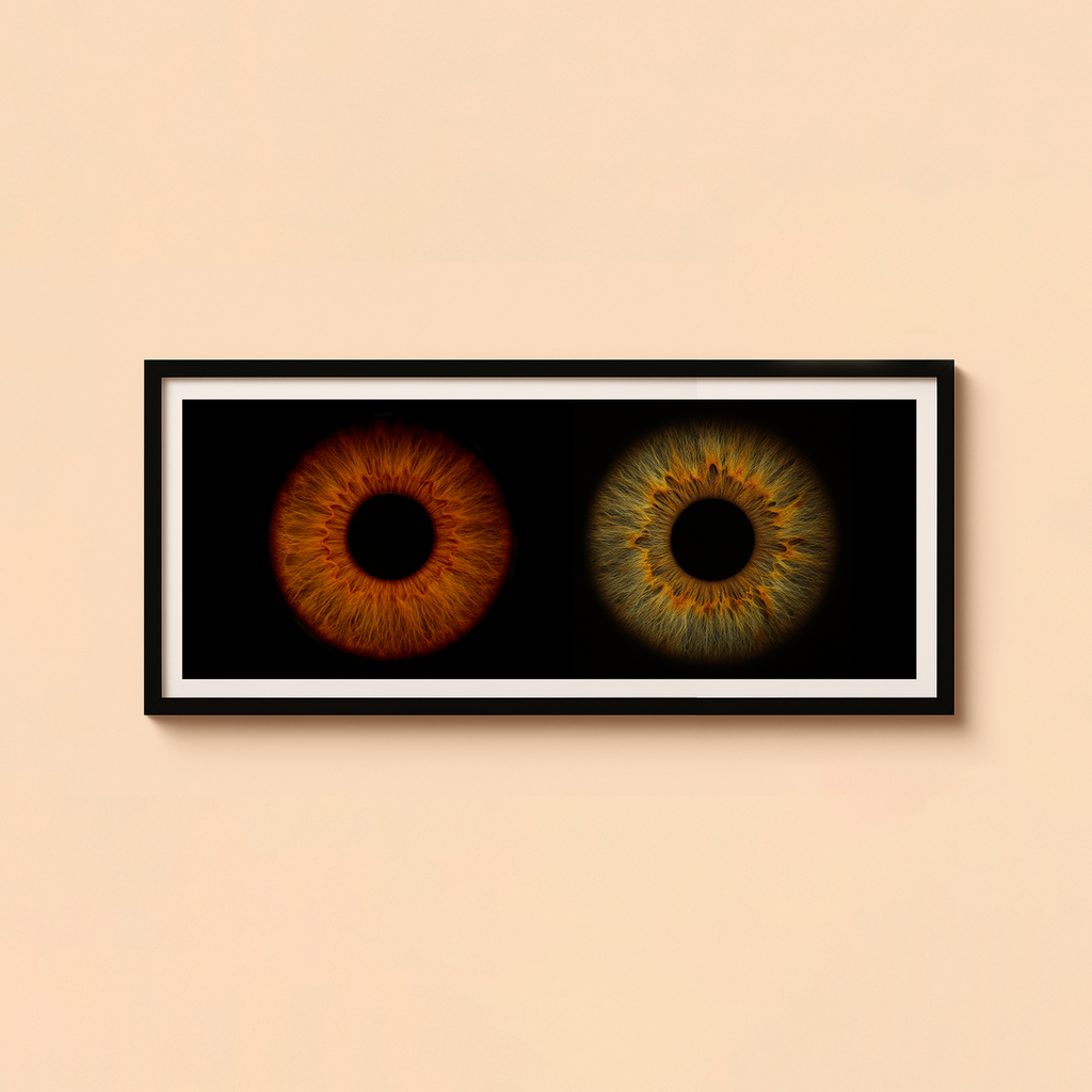 Poster Cadre IRIS 120X40