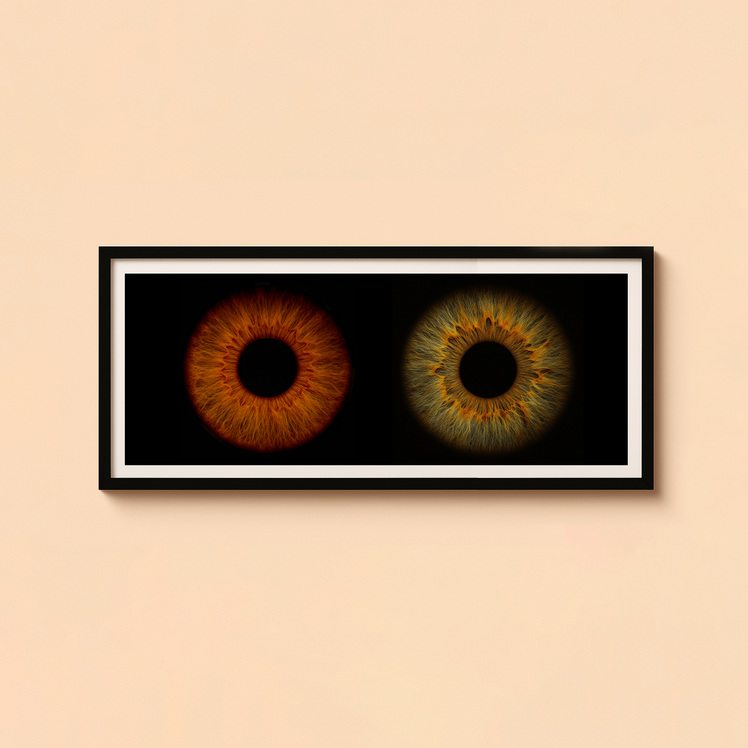 Poster Cadre IRIS 120X40
