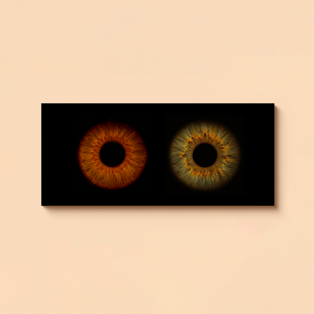 Poster Toile IRIS 120X40