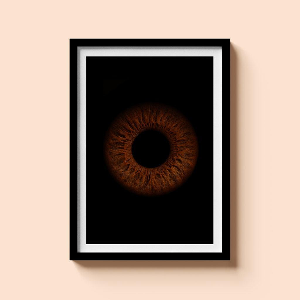 Poster Cadre IRIS A2