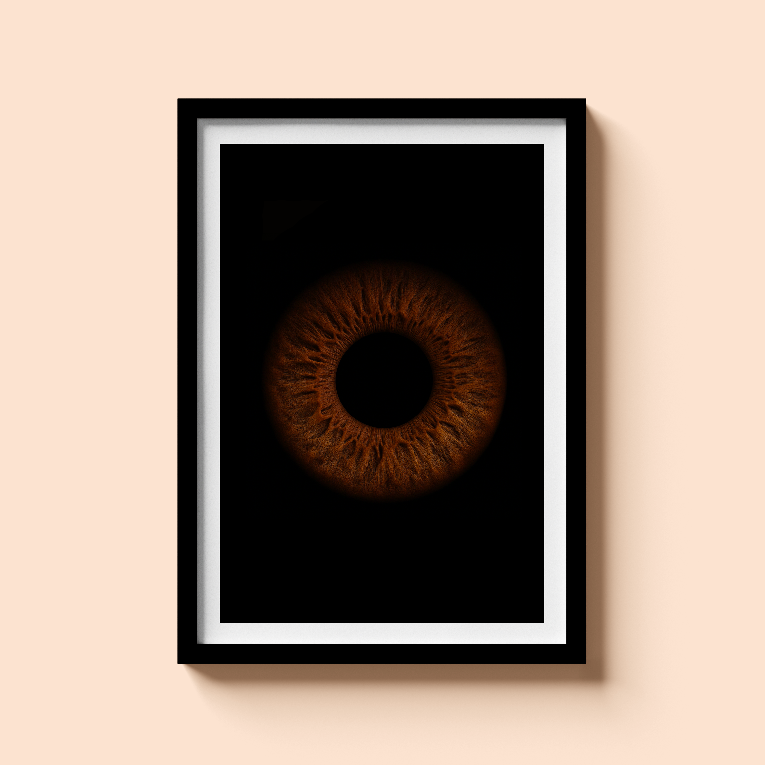 Poster Cadre IRIS A2